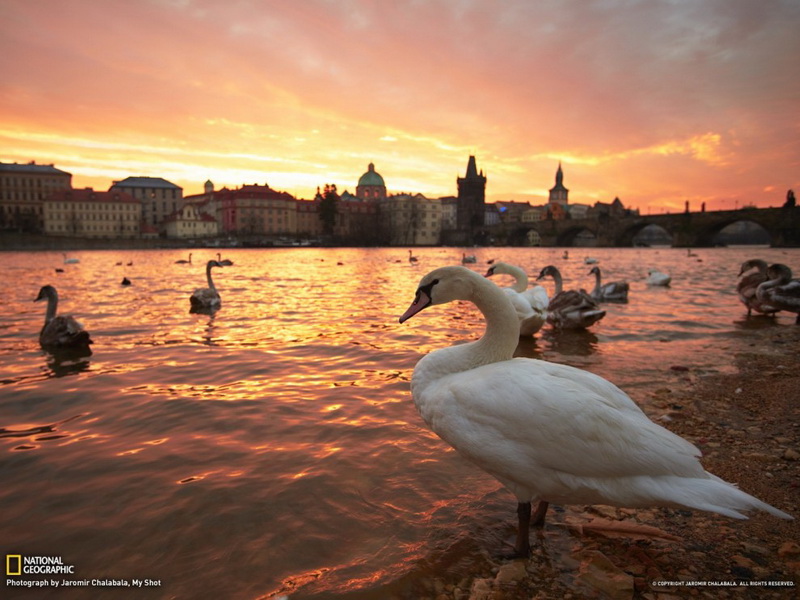 Изумительные обои для рабочего стола от National Geographic за апрель - ФОТОСЕССИЯ