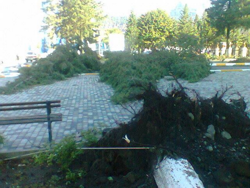 Külək iki rayonu viran elədi - YENİLƏNİB - FOTO