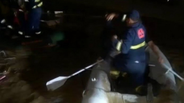 Трагедия в Тбилиси: по городу гуляют дикие звери - ОБНОВЛЕНО - ФОТО - ВИДЕО