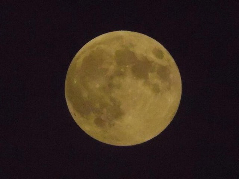 Земляне увидели самое яркое и красивое суперлуние 2014 года - ОБНОВЛЕНО - ФОТО