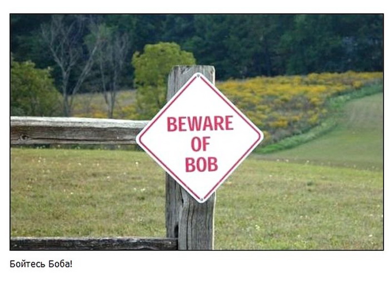 Самые забавные дорожные таблички по всему миру - ФОТО