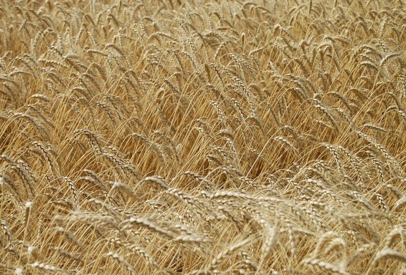 10 человек, которые обманули систему - ФОТОСЕССИЯ