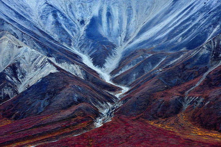 Sony World Photography Awards 2015 — "сливки" фотографий всего года - ФОТОСЕССИЯ