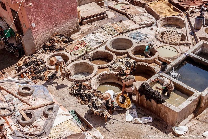 Марокко: как изготавливают натуральную кожу - ФОТОСЕССИЯ