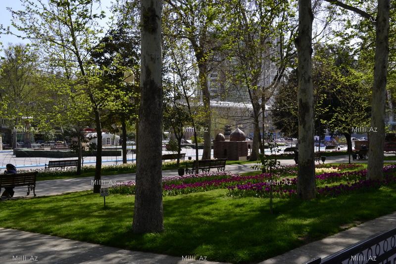 Баку готовится к грандиозному Празднику цветов – ФОТО