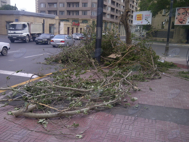 Обрубленные ветви "задержались" на одной из улиц Баку - ФОТО