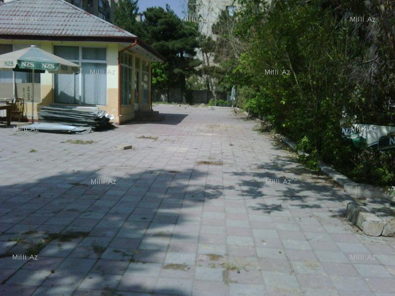 Бакинцы получат еще один новый парк - ФОТО