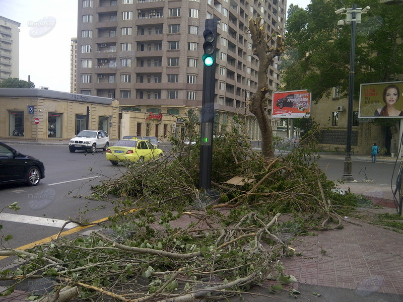 Обрубленные ветви "задержались" на одной из улиц Баку - ФОТО