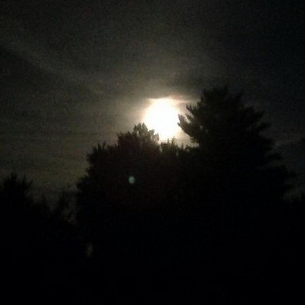 Земляне увидели самое яркое и красивое суперлуние 2014 года - ОБНОВЛЕНО - ФОТО