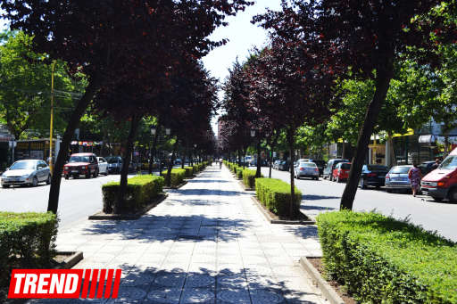 Путешествие по столице Албании - городу-побратиму Гянджи - ФОТО