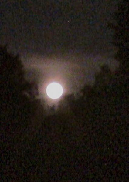 Земляне увидели самое яркое и красивое суперлуние 2014 года - ОБНОВЛЕНО - ФОТО