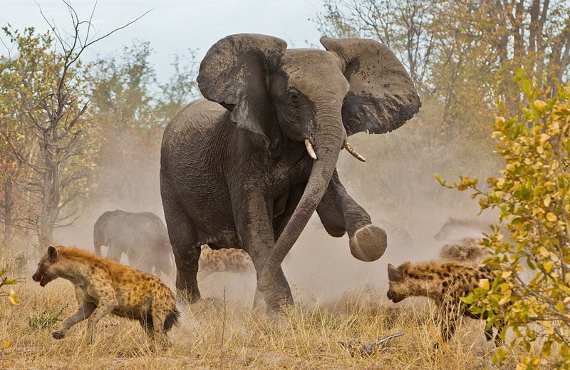 Фотоконкурс от журнала National Geographic Traveler 2013 - ФОТОСЕССИЯ