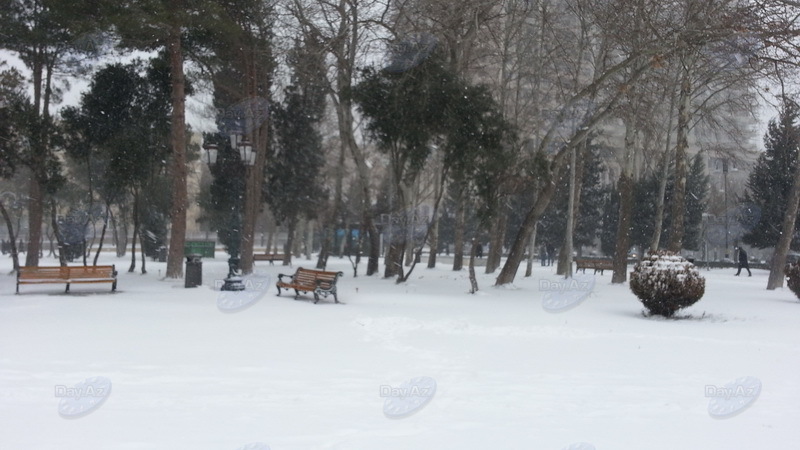 В Баку пошел сильный снег - ОБНОВЛЕНО - ФОТО