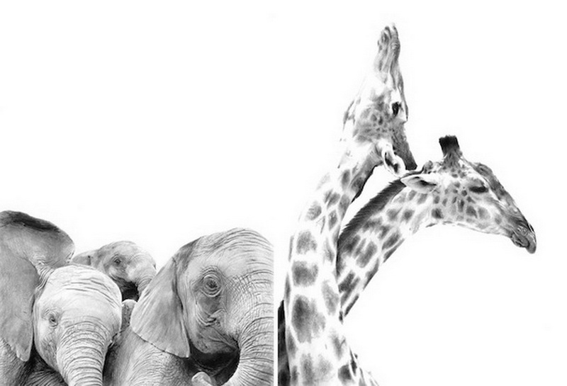 "Картинная галерея" Day.Az: Дикая красота - ФОТО