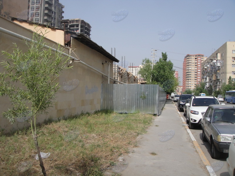 Одно из научных учреждений Баку предстанет в новом облике - ФОТО