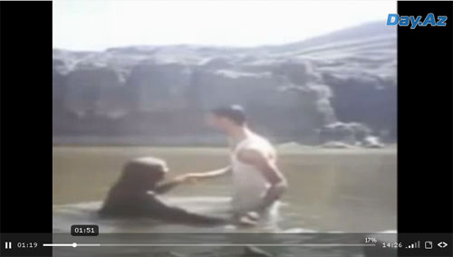 Шокирующие кадры: муж с женой засняли свою смерть на камеру - ВИДЕО