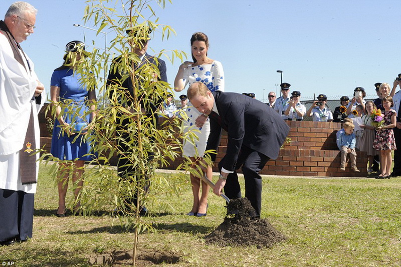 Кейт Миддлтон взялась за штурвал самолета - ФОТО