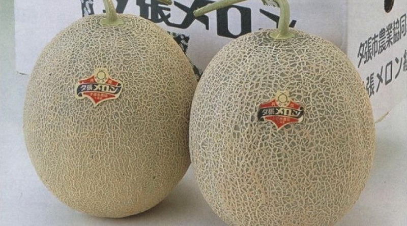 10 самых дорогих продуктов питания в Японии - ФОТОСЕССИЯ
