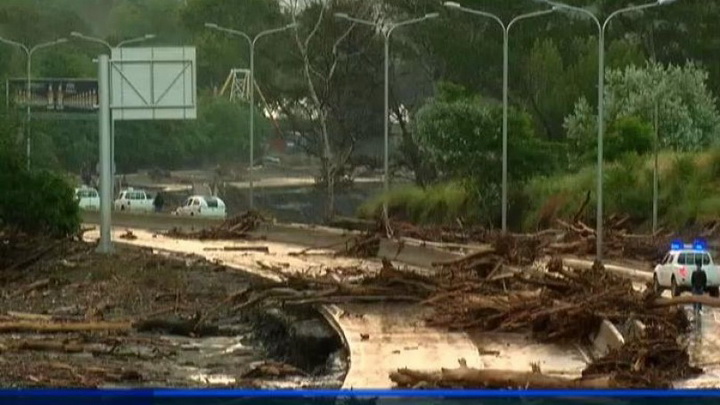 Трагедия в Тбилиси: по городу гуляют дикие звери - ОБНОВЛЕНО - ФОТО - ВИДЕО