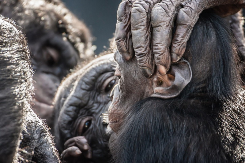Фотоконкурс от журнала National Geographic Traveler 2013 - ФОТОСЕССИЯ