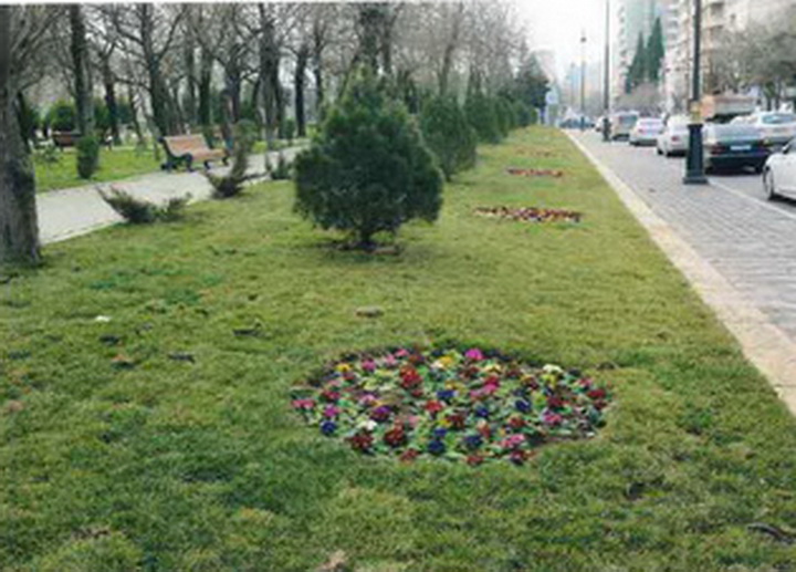 Насиминский район Баку: его застроят совершенно по-новому – ФОТО