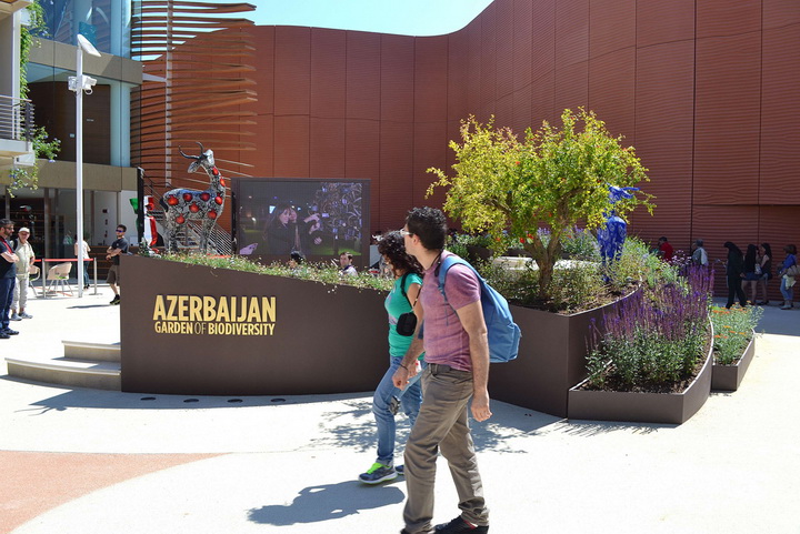 Азербайджан вызвал большой интерес на "Milan Expo 2015" - ФОТО - ВИДЕО