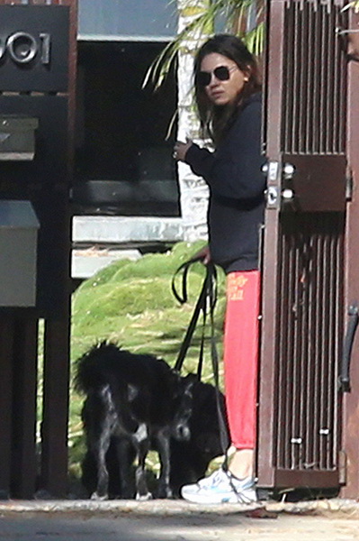 Папарацци довели беременную Милу Кунис до истерики - ФОТО