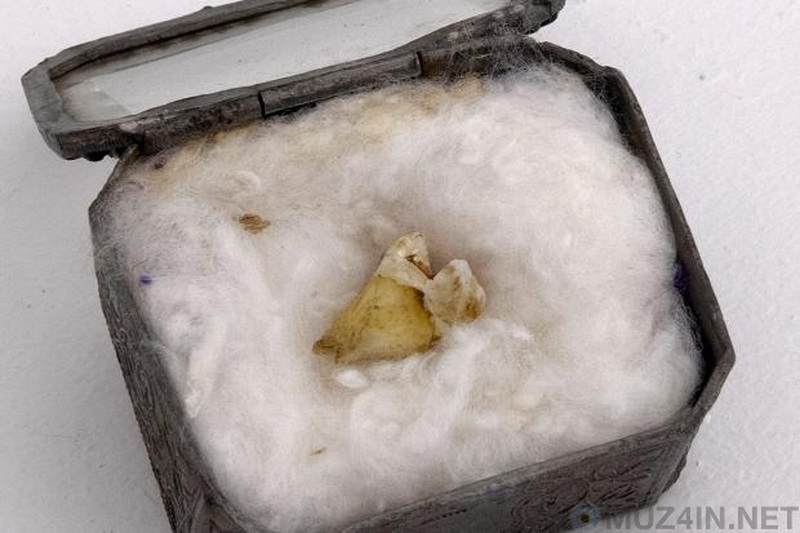 10 невероятно странных фактов о человеческих зубах - ФОТО