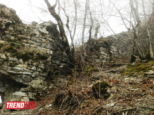 Путешествие в историю: "Уган", "Мухас", "Гелерсен-герерсен", могила Хаджи-Мурата - ФОТО