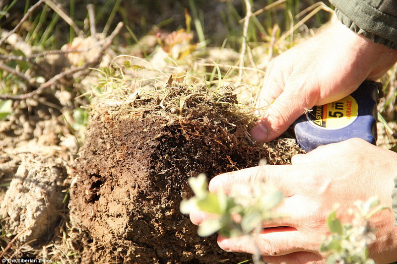 Ученые озадачены загадочной "дырой" в Сибири - ФОТО