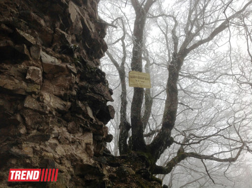 Путешествие в историю: "Уган", "Мухас", "Гелерсен-герерсен", могила Хаджи-Мурата - ФОТО