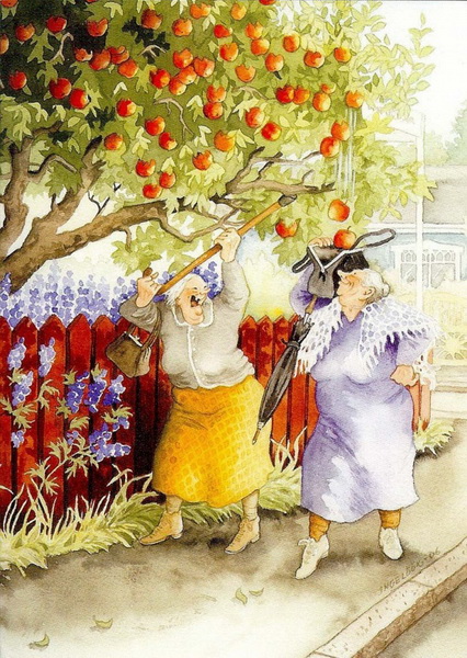 "Картинная галерея" Day.Az: Веселые финские бабки - ФОТО