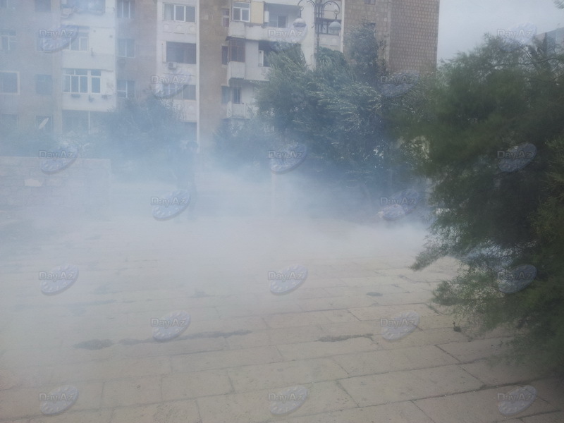 Минэкологии заставило коммунальщиков прибрать за собой - ФОТО