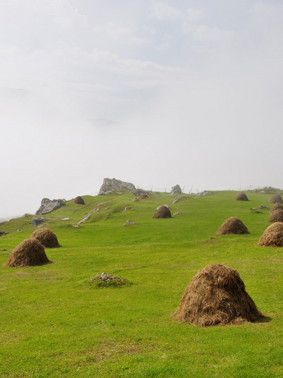 Грыз - древнейшее азербайджанское село на берегу реки - ФОТО