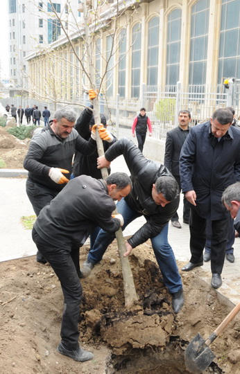 В Баку по инициативе вице-президента Фонда Гейдара Алиева Лейлы Алиевой состоялась озеленительная акция - ФОТО