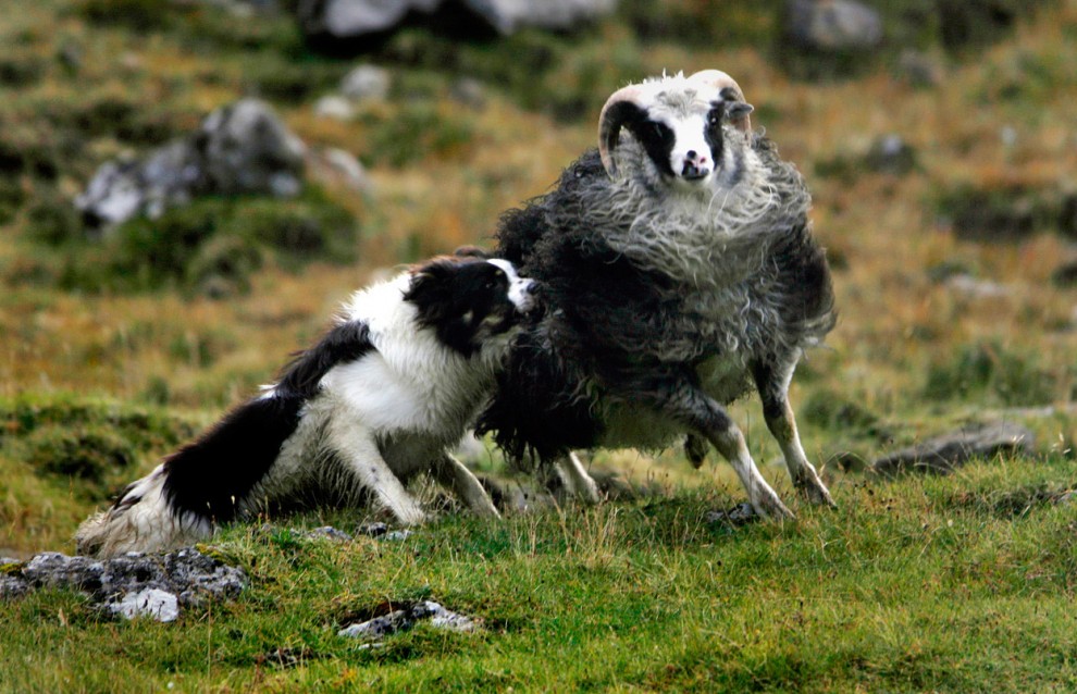 Живописные виды Фарерских островов - ФОТОСЕССИЯ