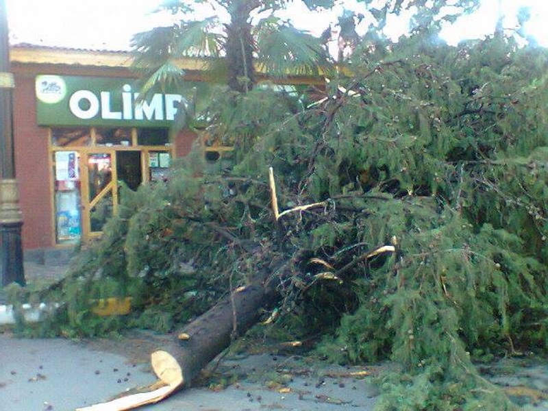 Külək iki rayonu viran elədi - YENİLƏNİB - FOTO