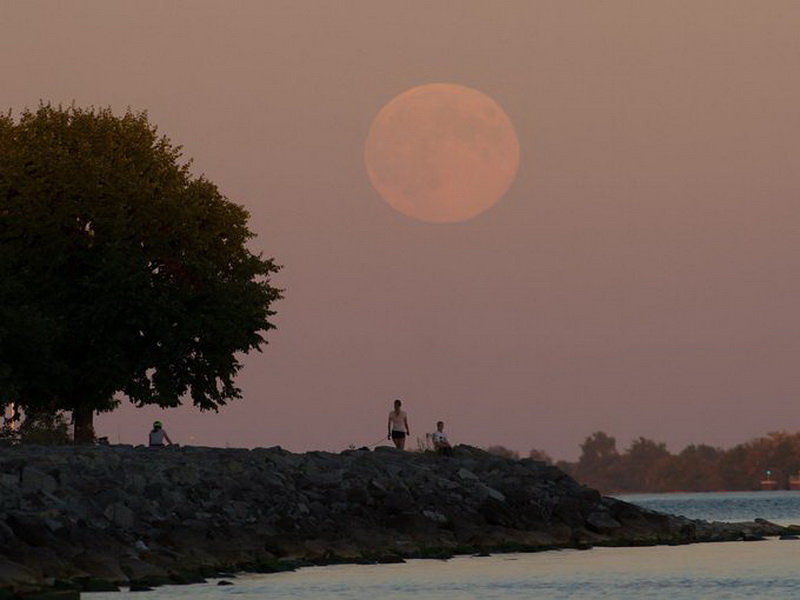 Земляне увидели самое яркое и красивое суперлуние 2014 года - ОБНОВЛЕНО - ФОТО