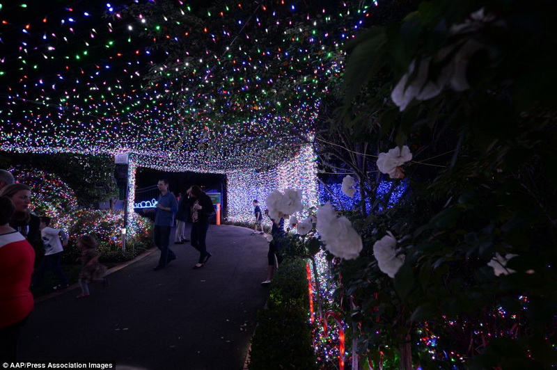 Дом в Австралии украсили самой длинной в мире гирляндой - ОБНОВЛЕНО - ФОТО