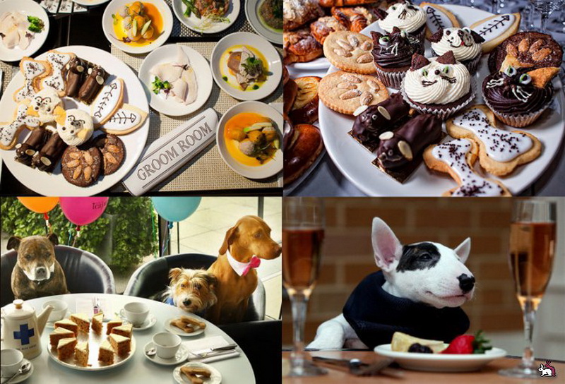 Эксклюзивные услуги отелей своим постояльцам - ФОТОСЕССИЯ