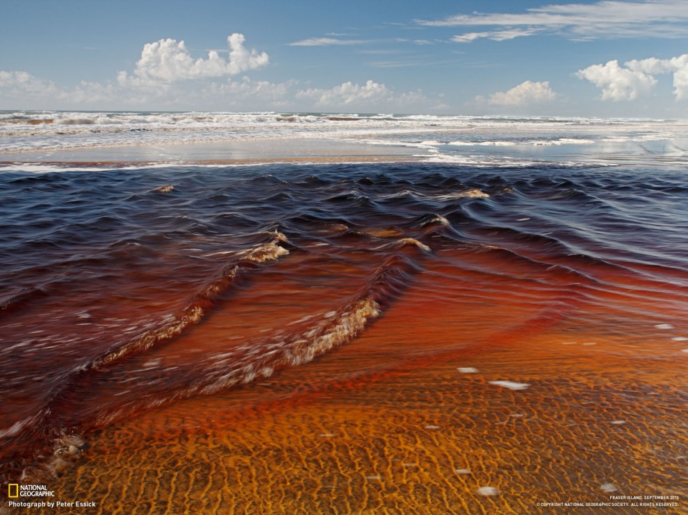 Обои для рабочего стола от National Geographic за март - ФОТОСЕССИЯ