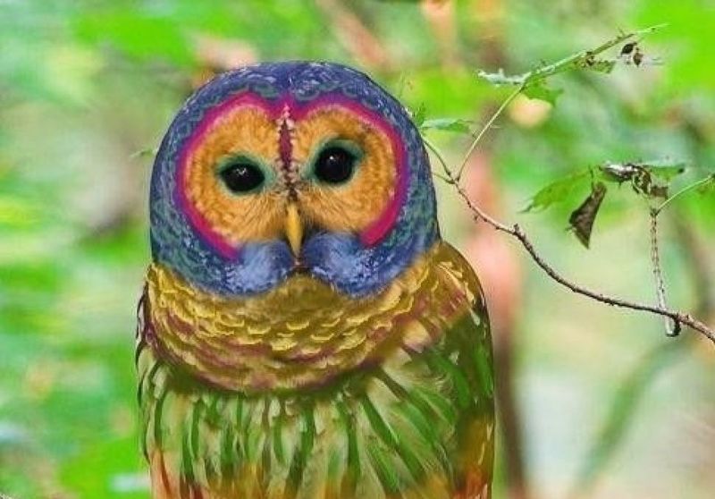 20 фотофальсификаций, которые облетели весь мир - ФОТОСЕССИЯ