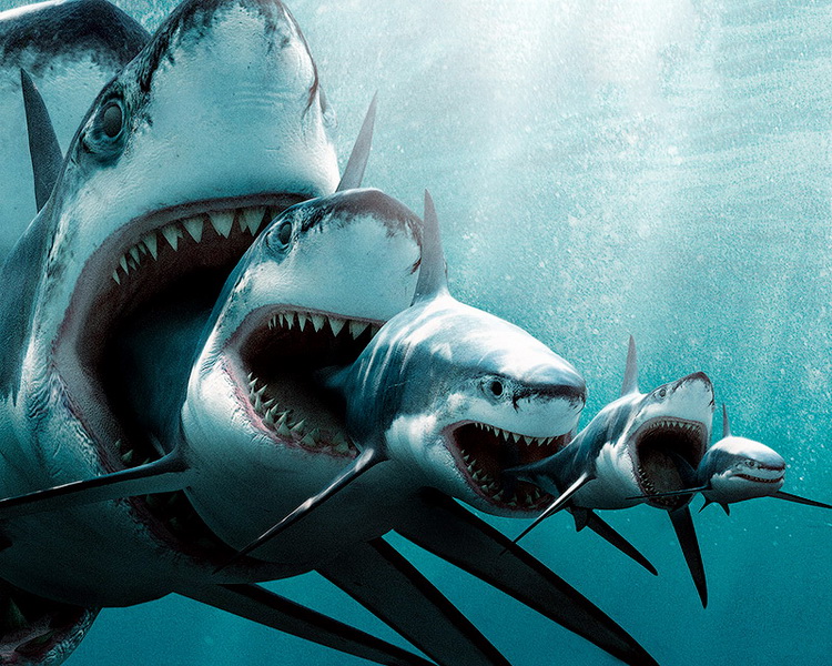 21 миф, опровергнутый "Разрушителями легенд" - ФОТОСЕССИЯ