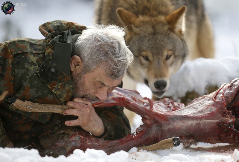 Необычный парк: жизнь с волками - ФОТОСЕССИЯ