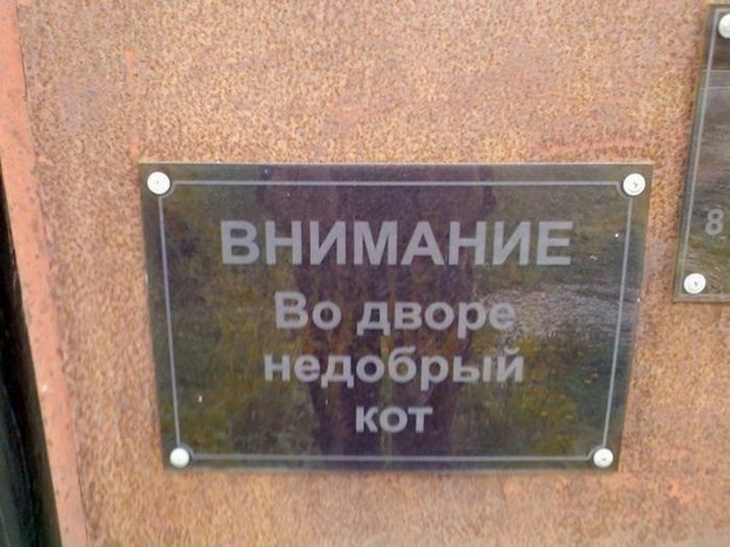 Шедевральные объявления: душевный копирайтинг - ФОТОСЕССИЯ