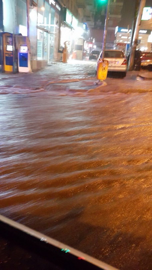 Трагедия в Тбилиси: по городу гуляют дикие звери - ОБНОВЛЕНО - ФОТО - ВИДЕО