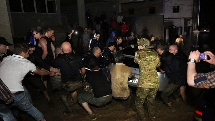 Трагедия в Тбилиси: по городу гуляют дикие звери - ОБНОВЛЕНО - ФОТО - ВИДЕО