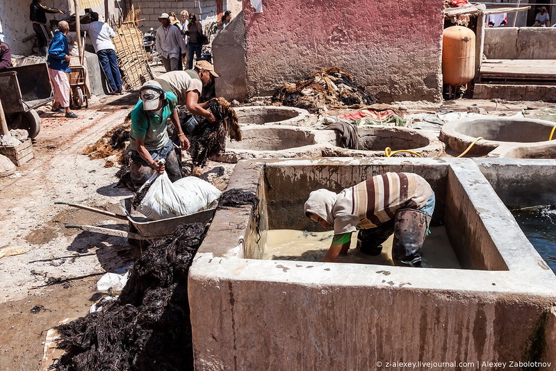 Марокко: как изготавливают натуральную кожу - ФОТОСЕССИЯ
