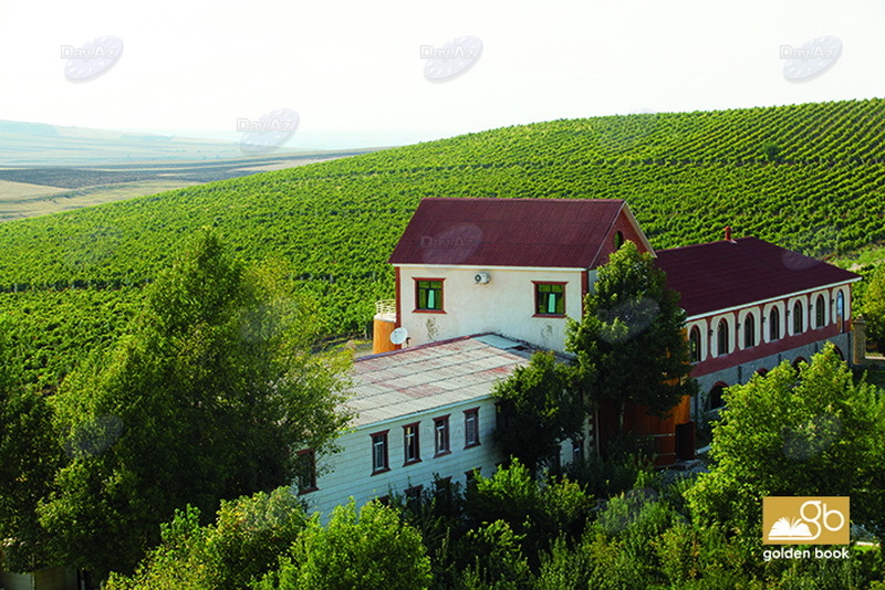 Исмаиллы – земля, овеянная легендами - ФОТО
