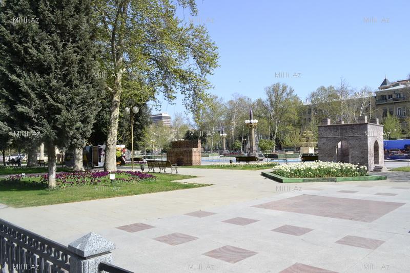 Баку готовится к грандиозному Празднику цветов – ФОТО